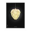 Brainchild Ph Artichoke Poster Frame In Black Lacquered Wood 30 X40 Cm, Black Background