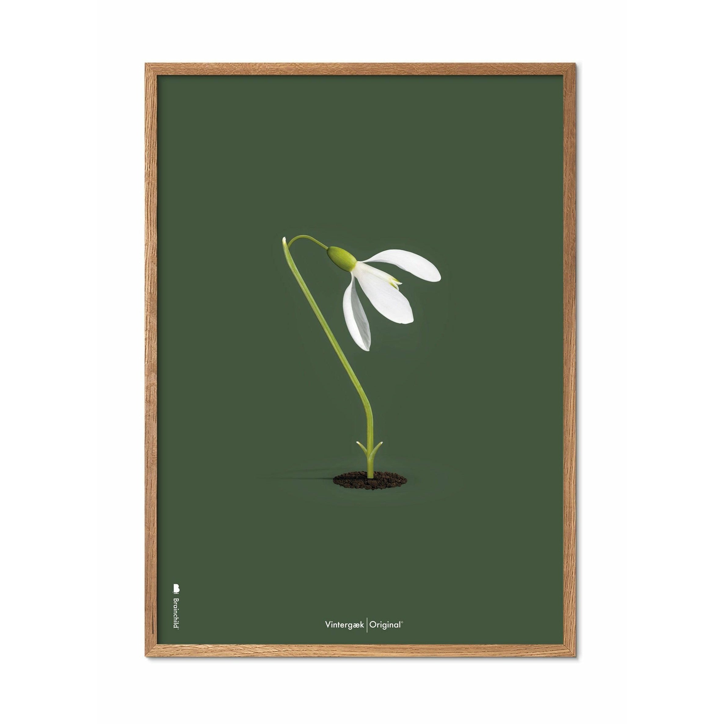 [product_category]-Brainchild Snowdrop Classic Poster, Frame Made Of Light Wood 50x70 Cm, Green Background-Brainchild-61003-A-BRA-1