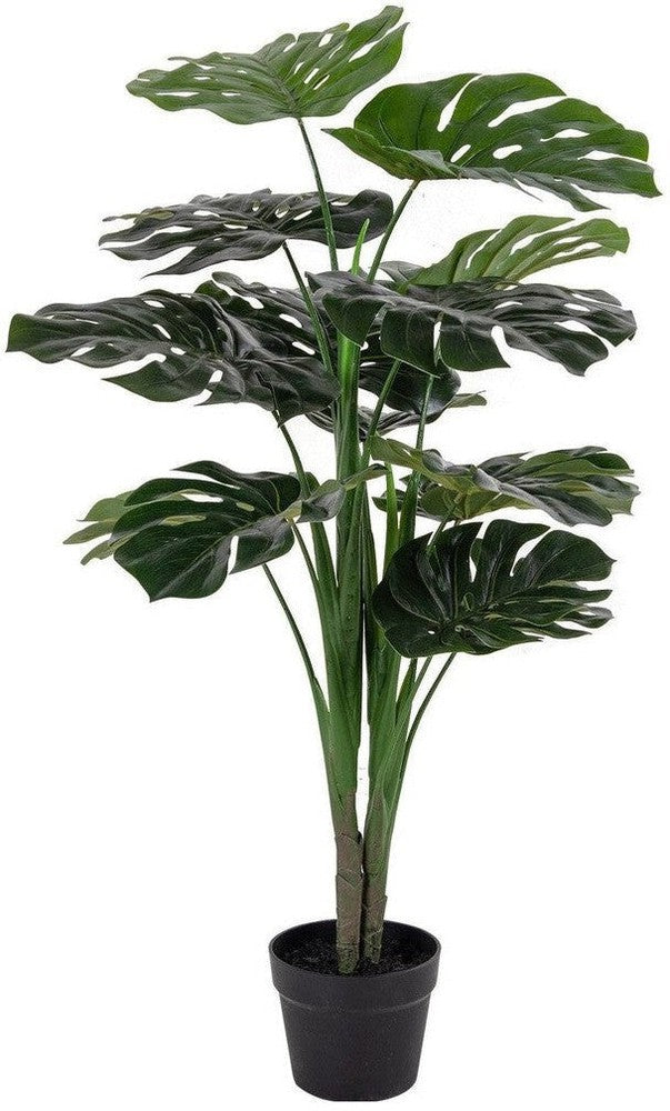 [product_category]-House Nordic Monstera-House Nordic-5713917004478-9501000-HOU-1