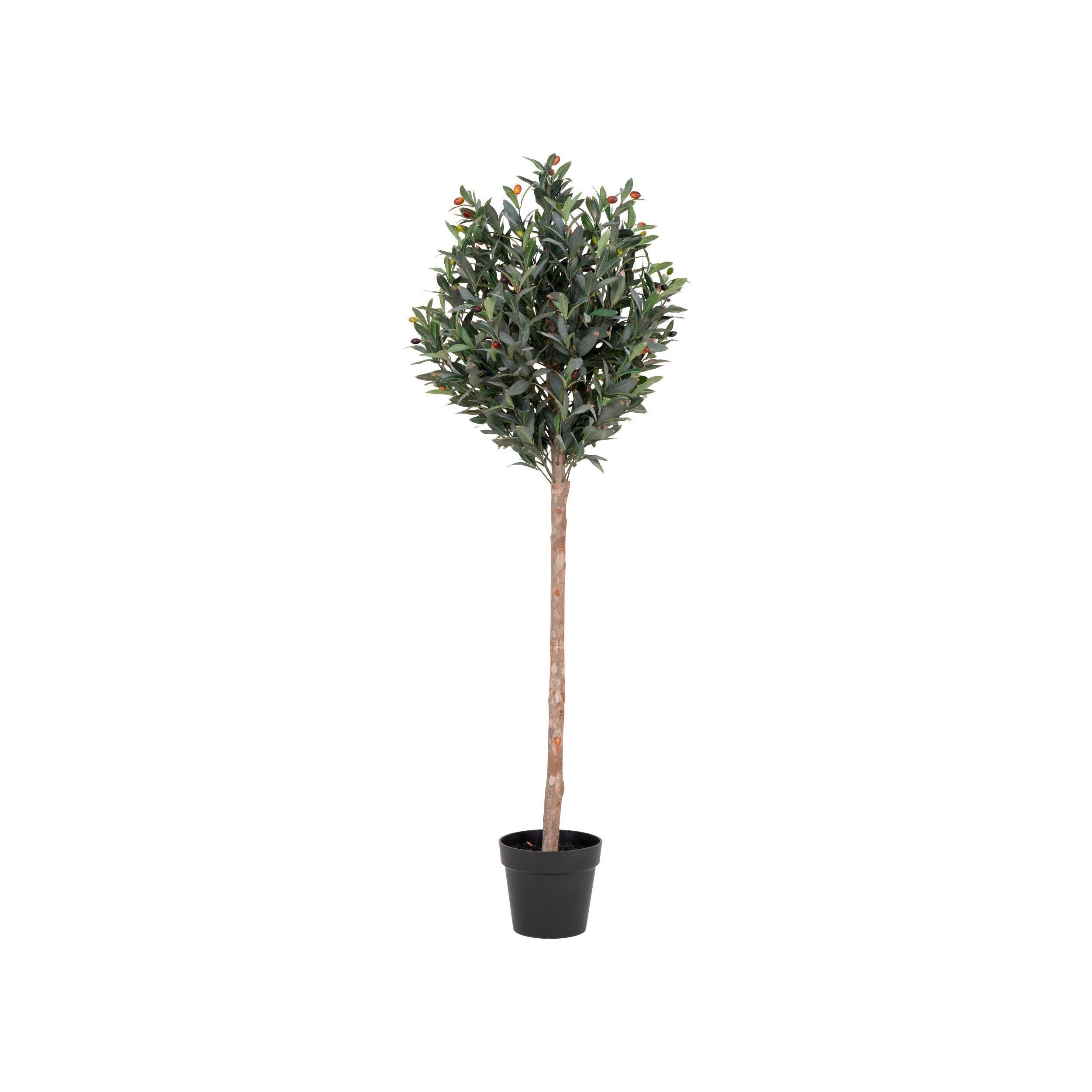 House Nordic Olive Tree, Artificial Tree, Green, H:150 Cm