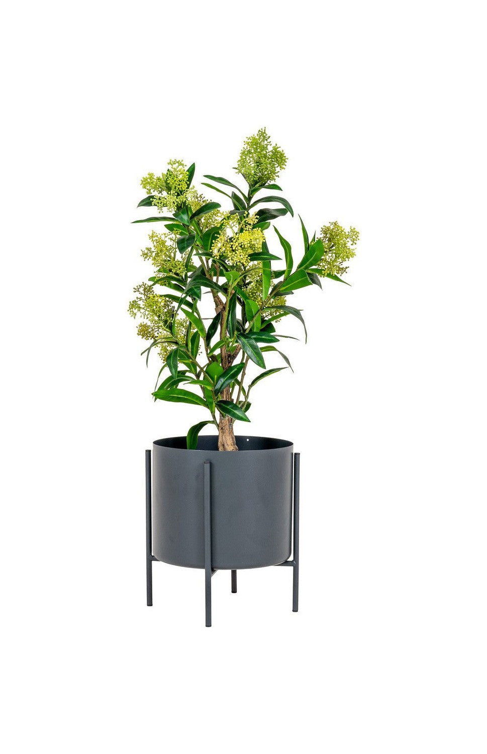 House Nordic Skimmia Tree, Artificial Plant, Green, H:75 Cm