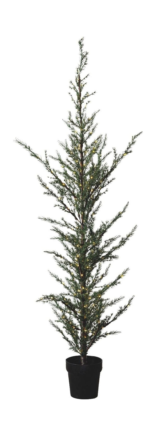 [product_category]-Sirius Milas Ceder Tree, H190 Cm-Sirius-5707310517307-51730-SIR-1