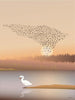 Vissevasse Murmuration Plakat, 70x100 cm